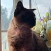 audreyruth762